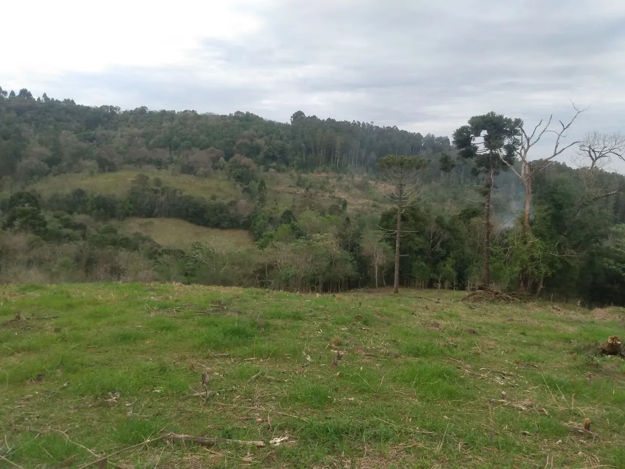 Sítio  - Foto 5