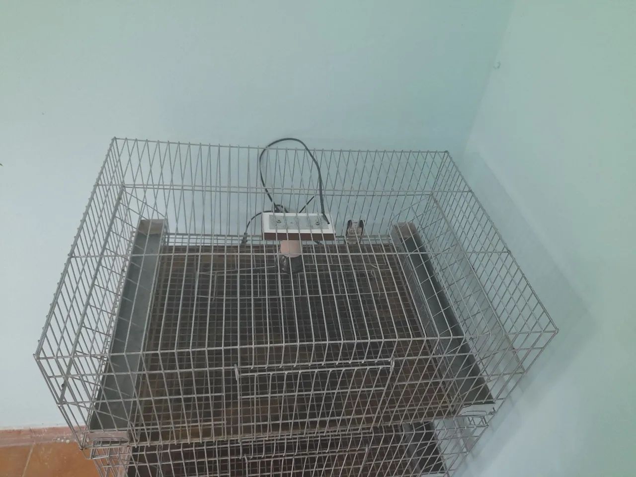 Viveiro com 3 gaiola 750$ santo André  - Foto 5