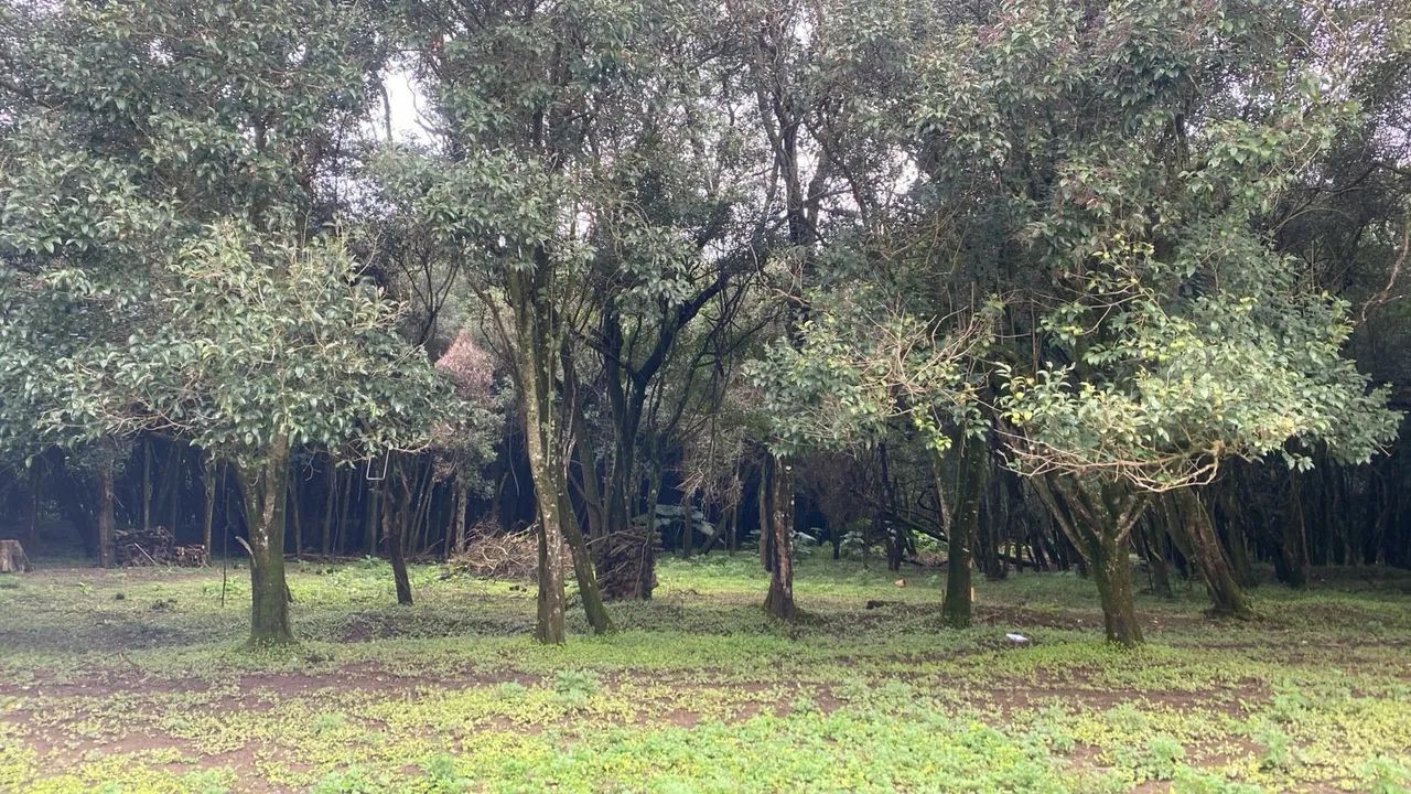 Chácara