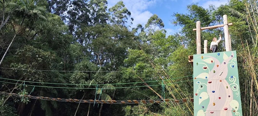 sítio Biguaçu 140.000m2 - Foto 3