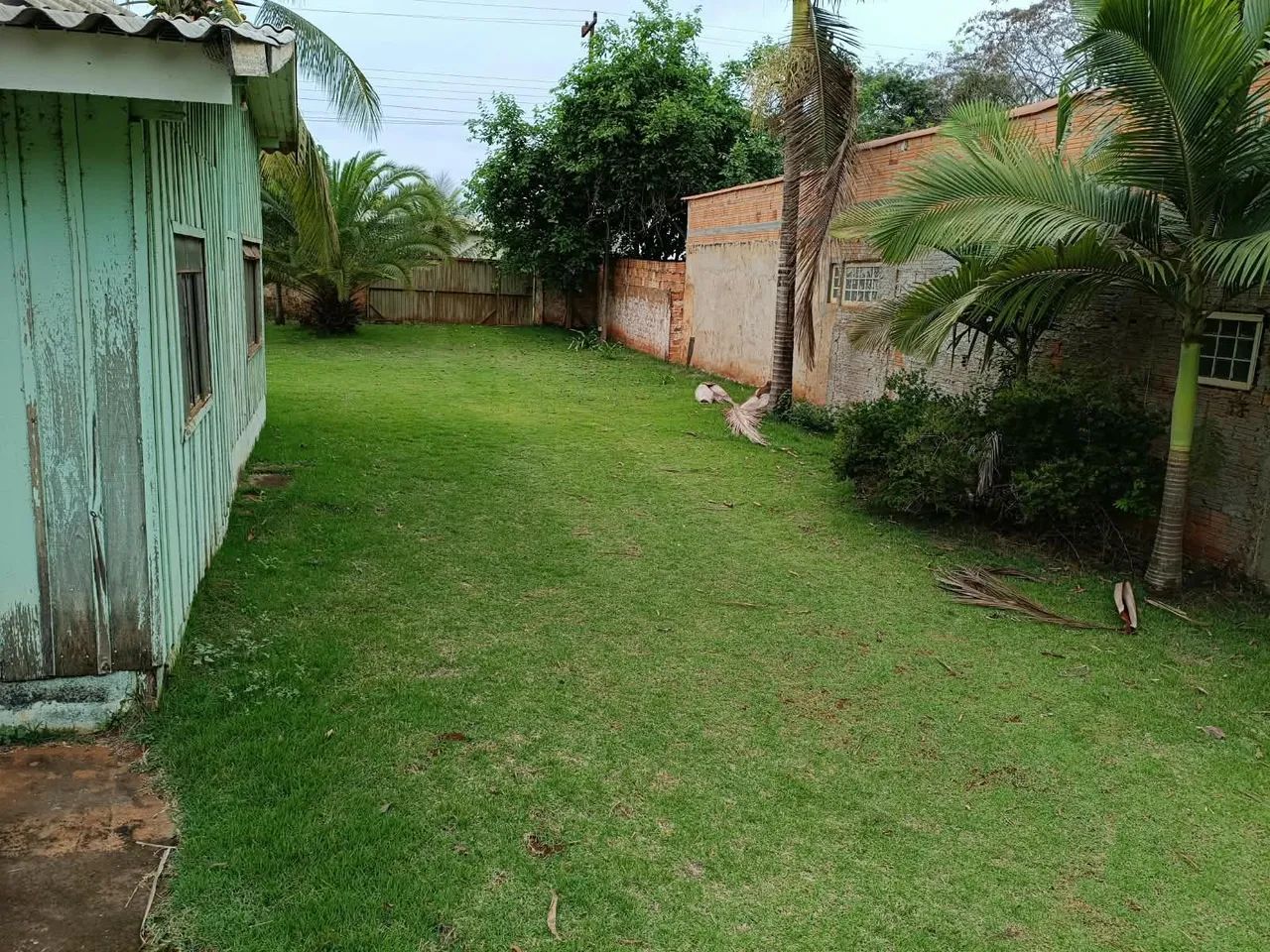 Chácara molhada  - Foto 3