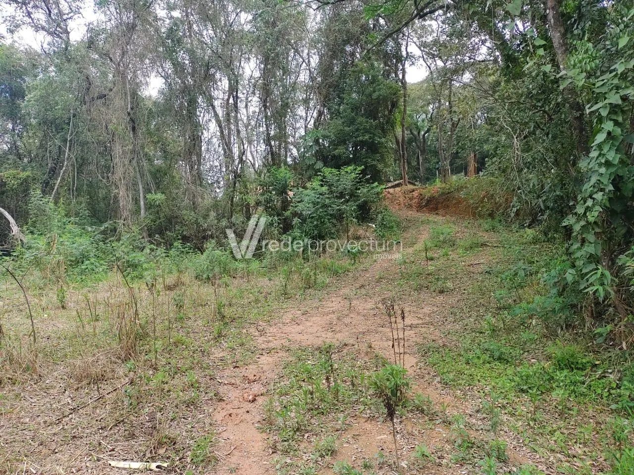 terreno - Dois Córregos - Valinhos - Foto 2