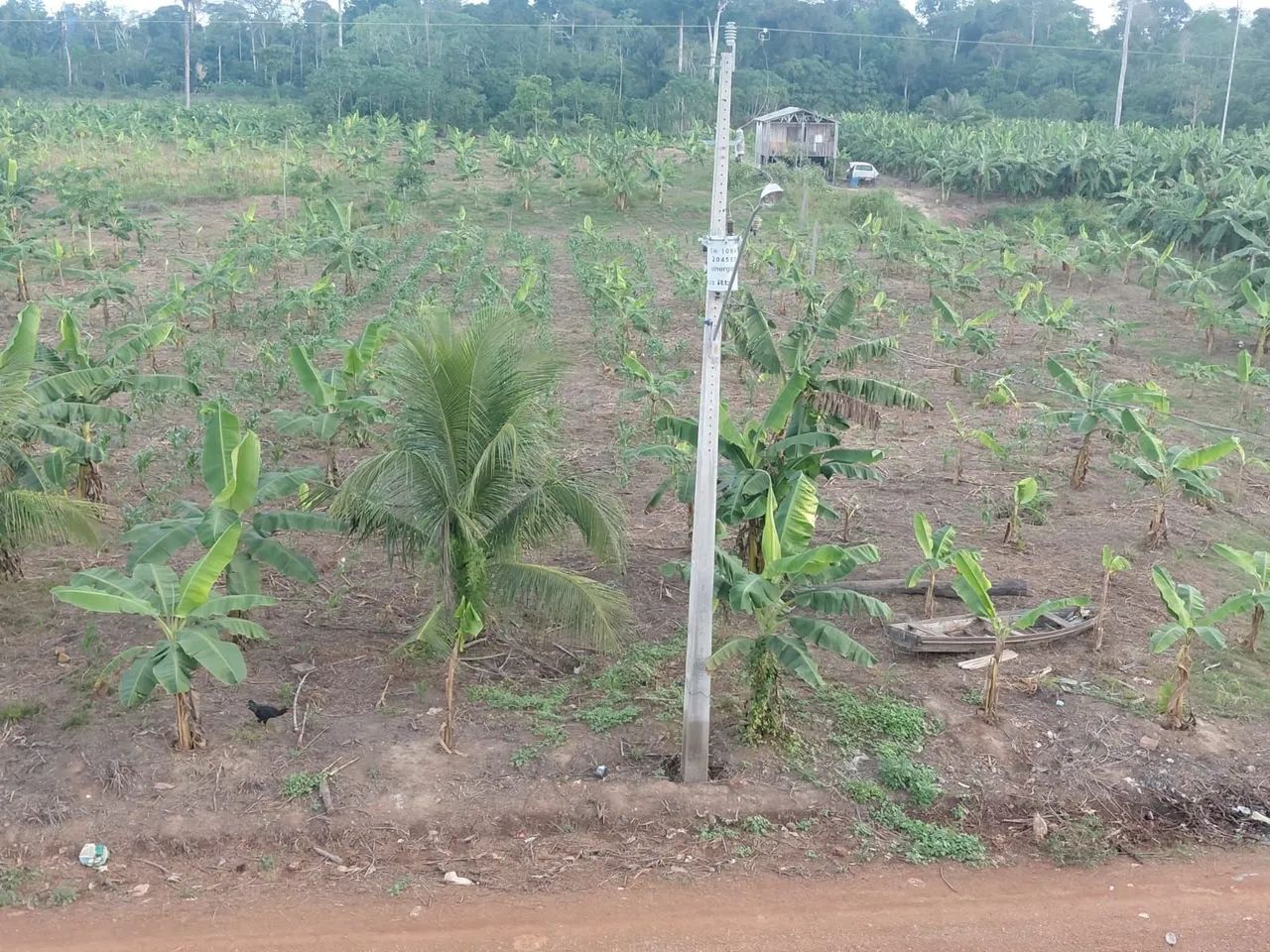Venda de terreno  - Foto 3