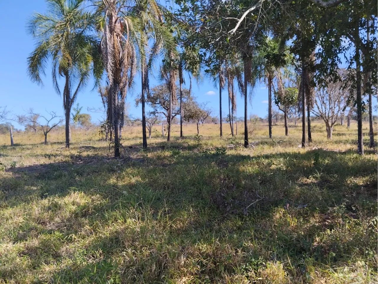 Fazenda Luziânia-go