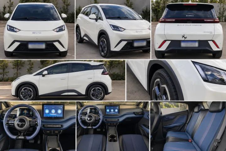 BYD Dolphin Mini (Elétrico) 2024