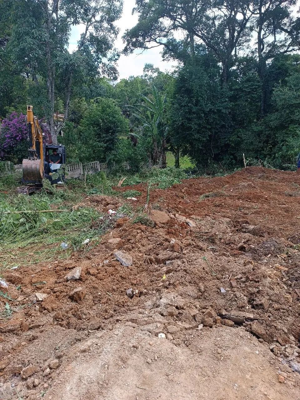 Foto - Curitiba - Abranches