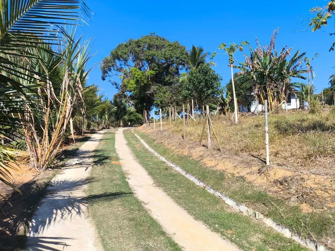SÍTIO 5,5 ALQUEIRES - SERRA, ES - Foto 2