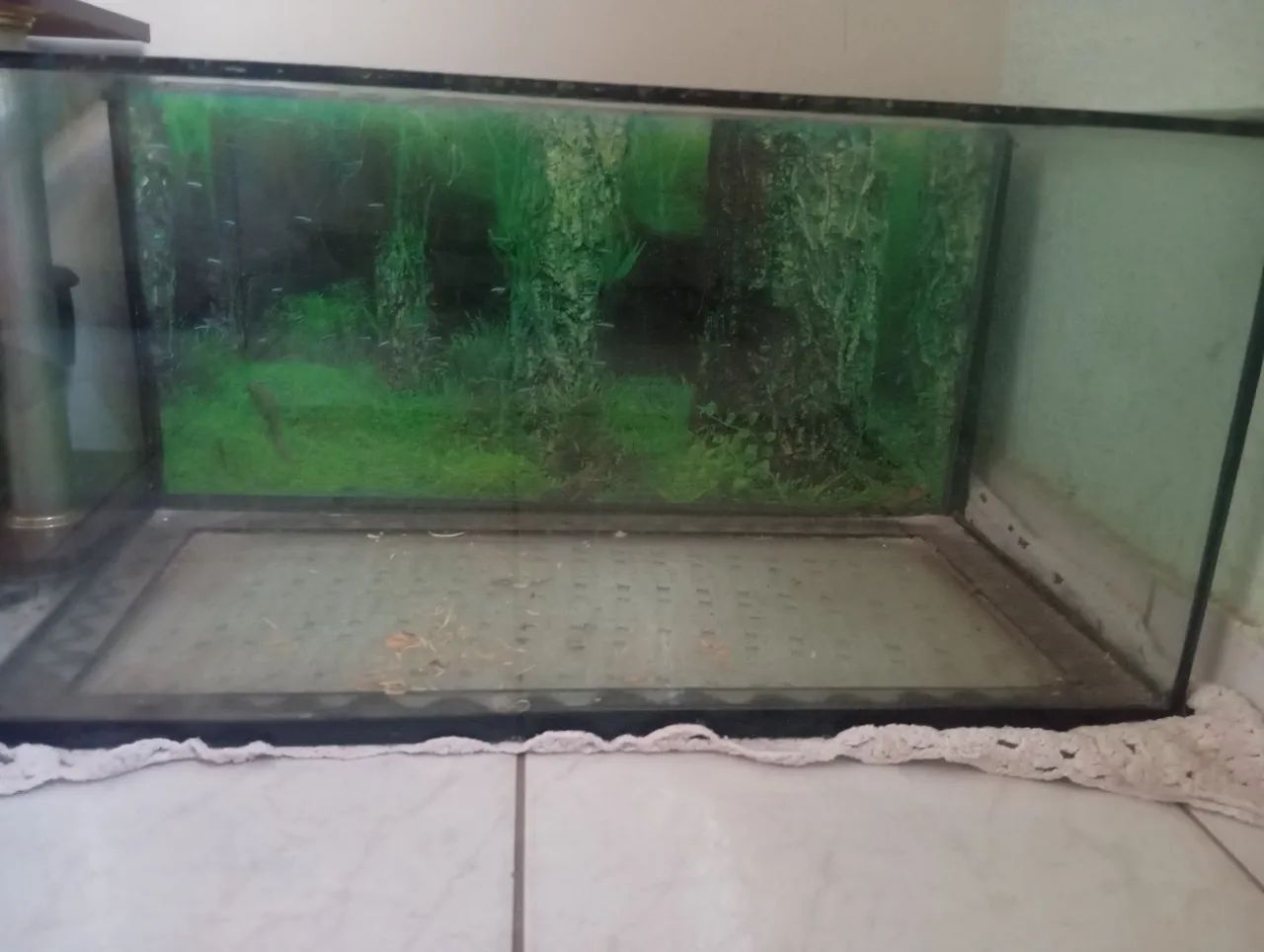 Vendo Vidro de aquário  - Foto 4