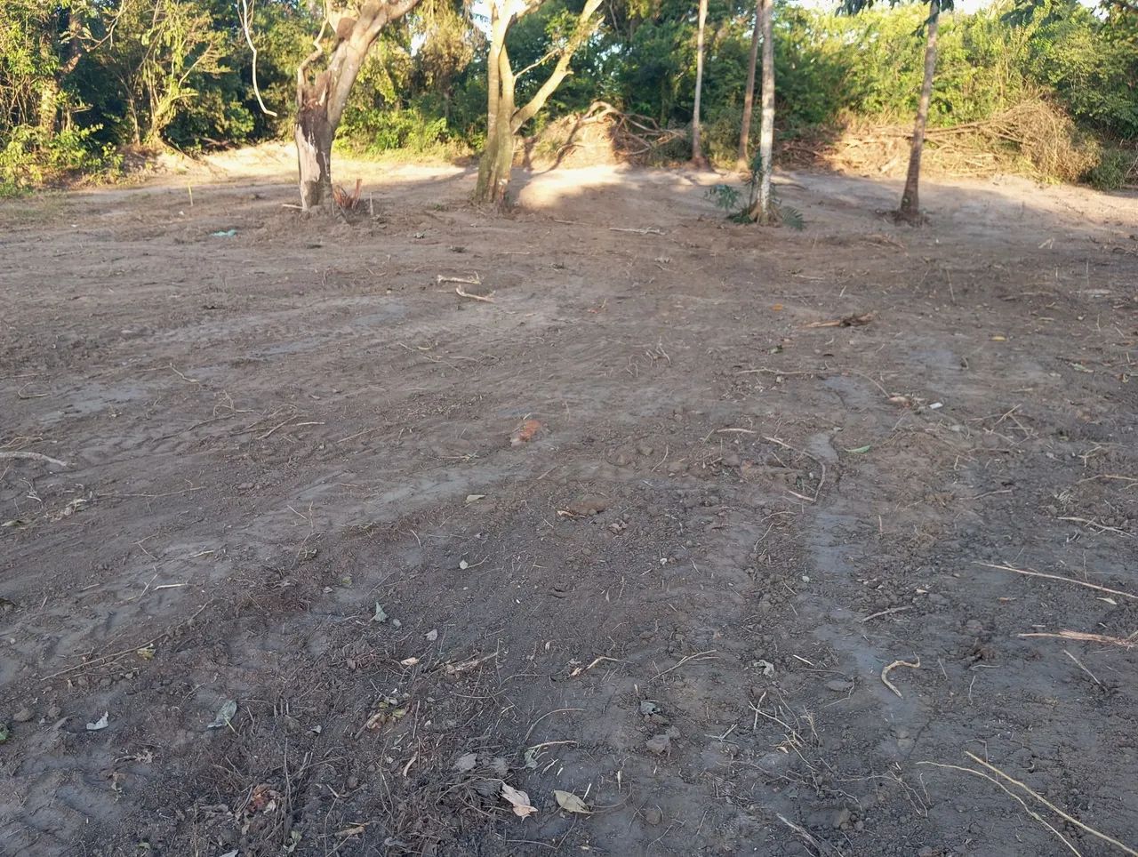 Foto - Igarassu - Tabatinga
