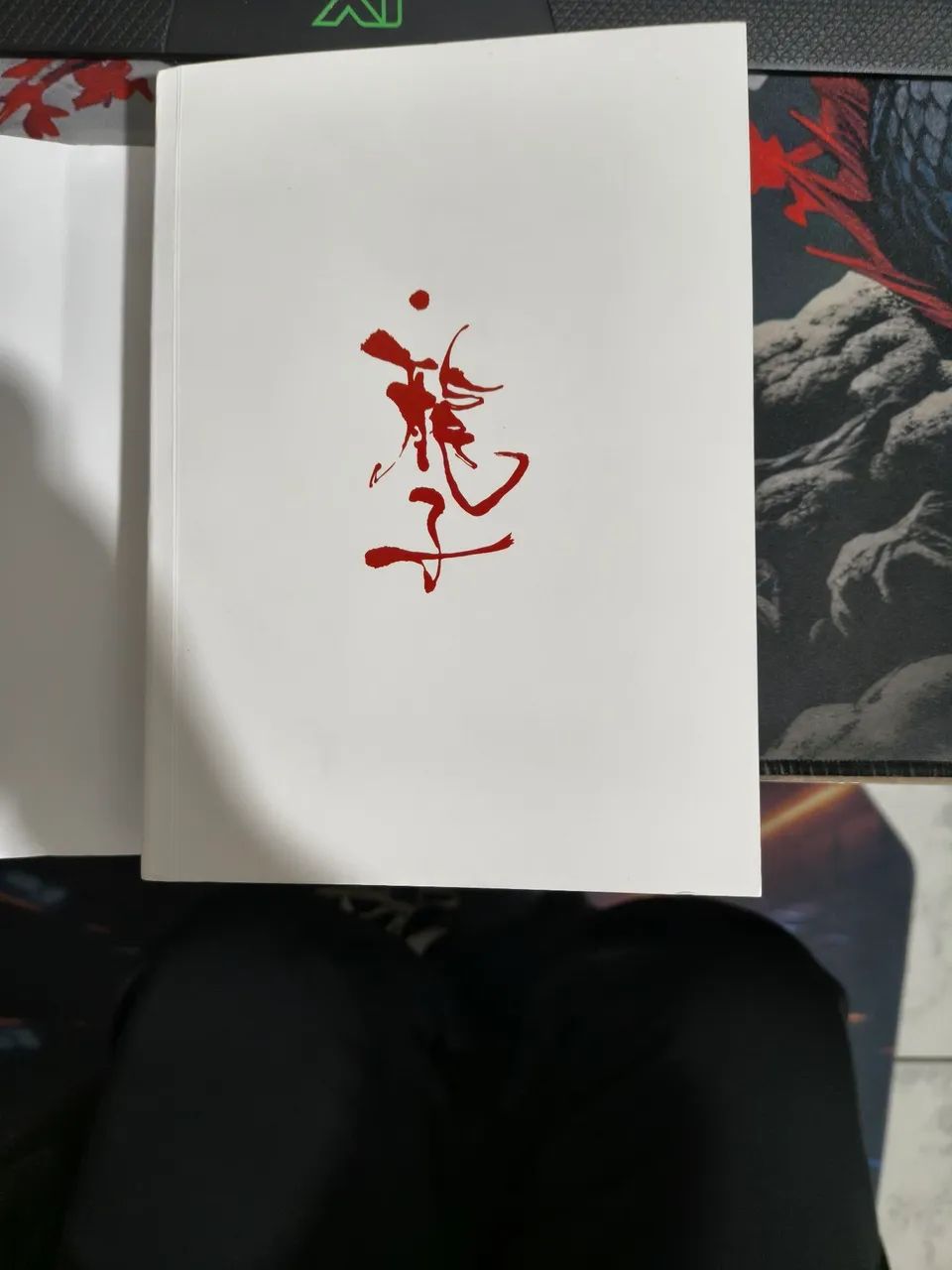 Ryuko - Foto 3