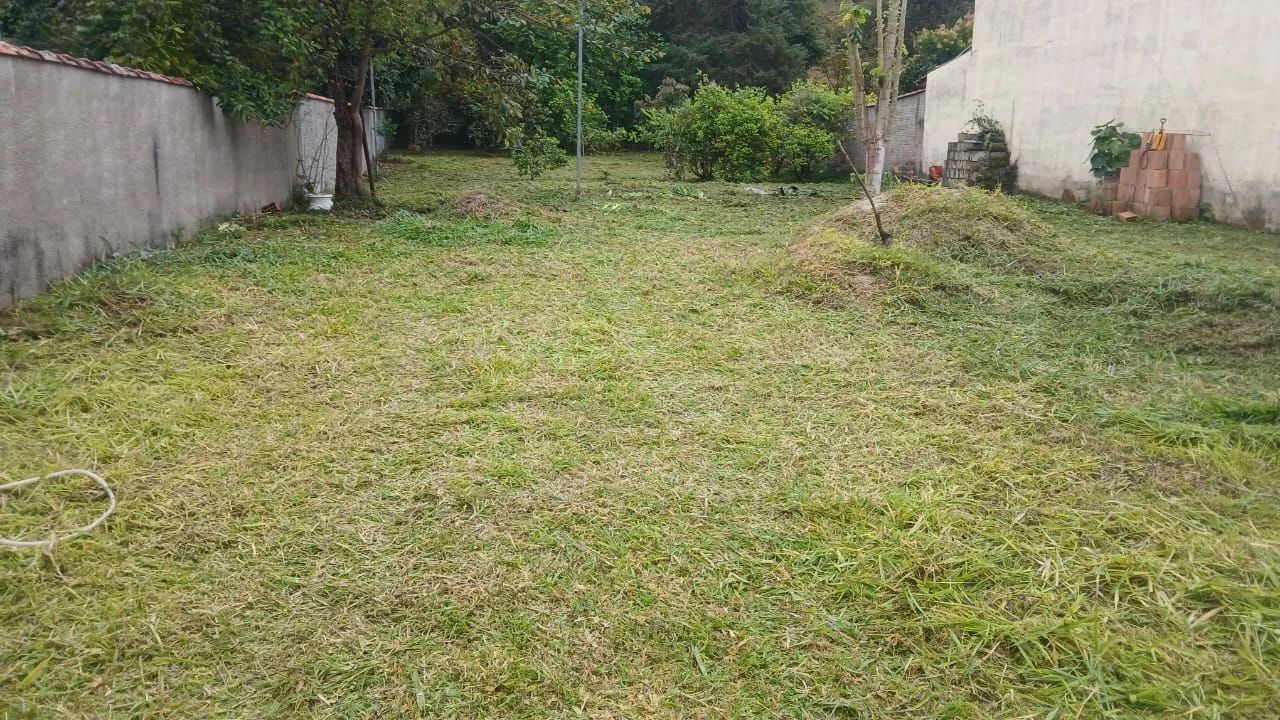 Lote - Foto 4