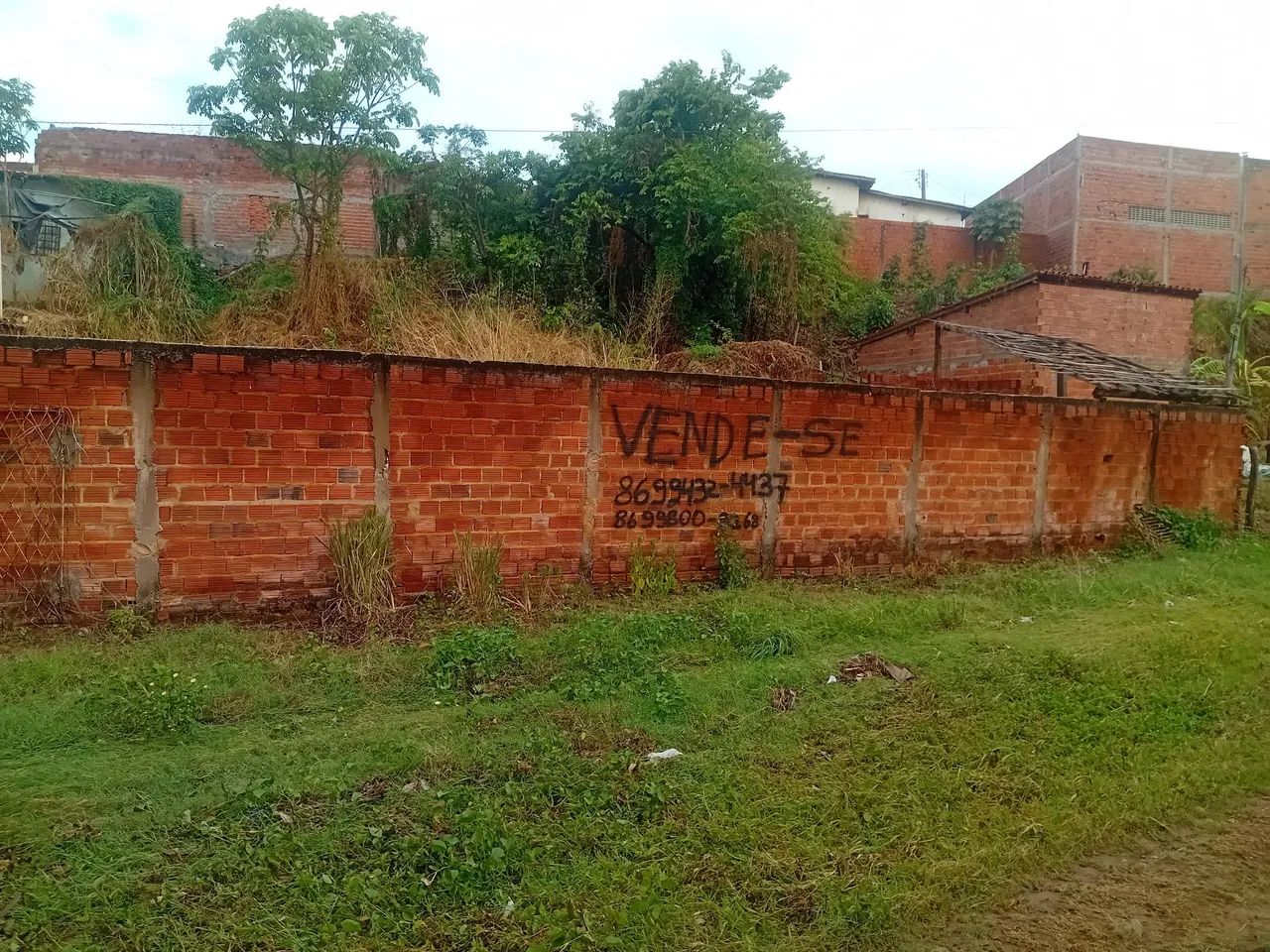 Vendo terreno grande 