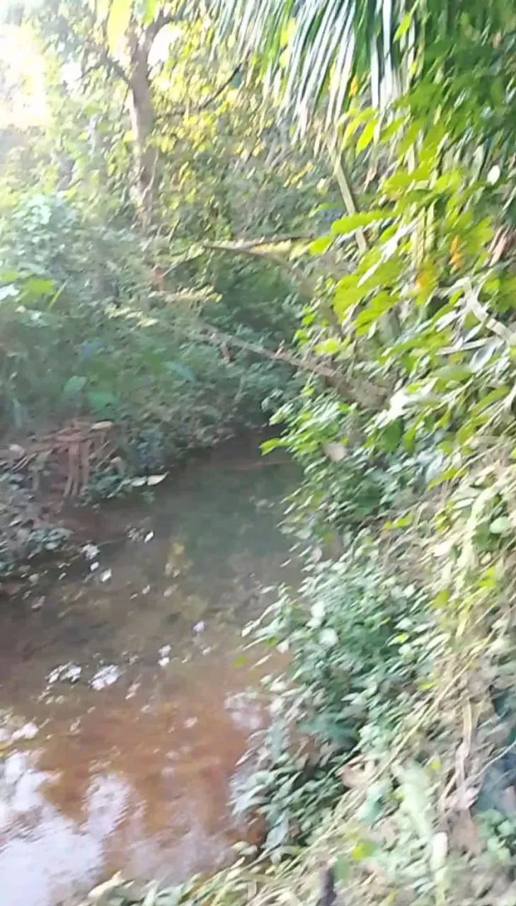Terreno com riacho  - Foto 2