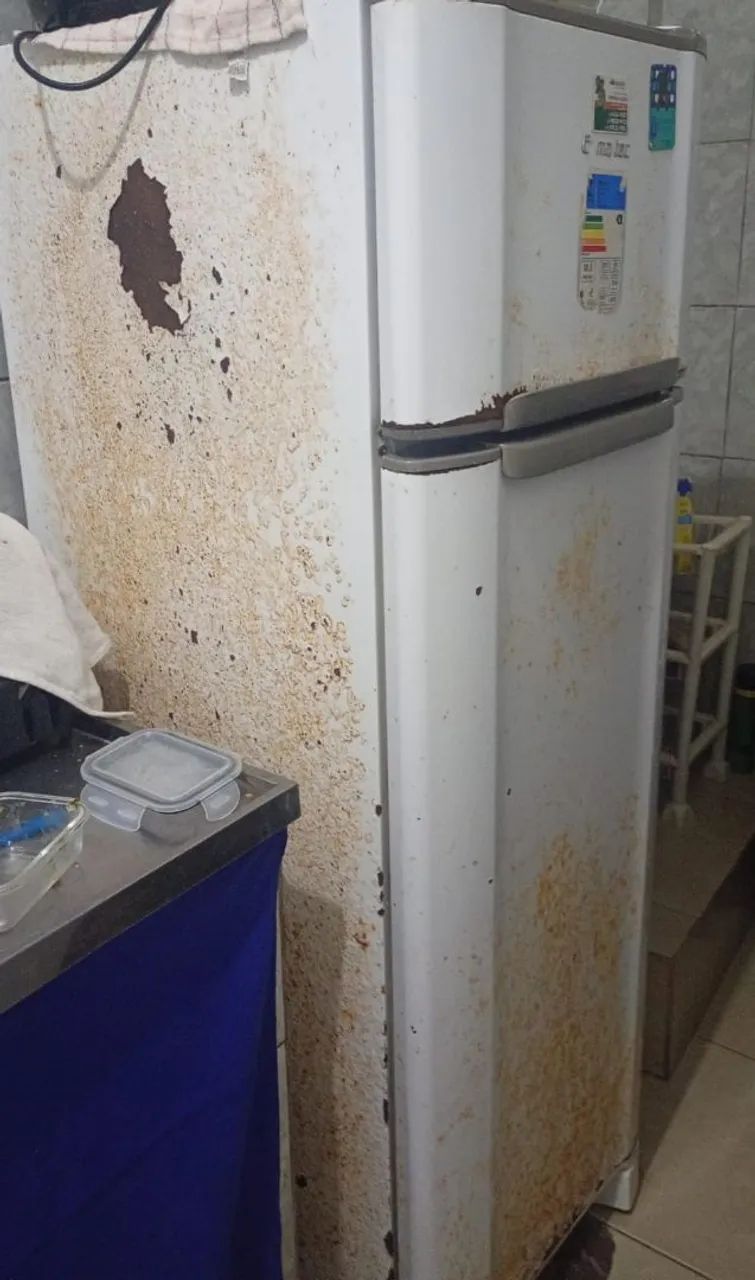 Geladeira funcionando perfeitamente só precisa pintar 