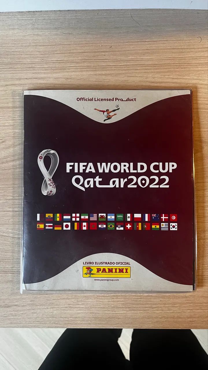 ALBUM COPA 22 COMPLETO