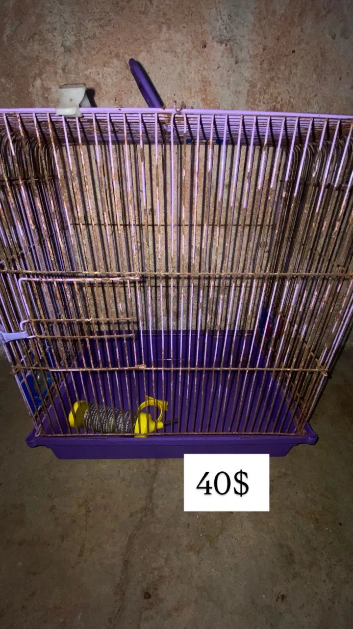 Gaiolas para hamster 
