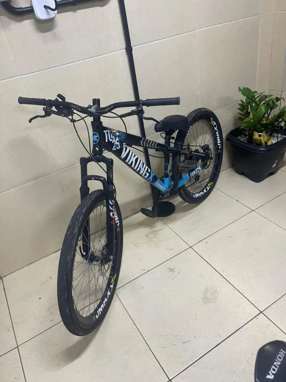 Vikingx toda preparada para o grau - Foto 2