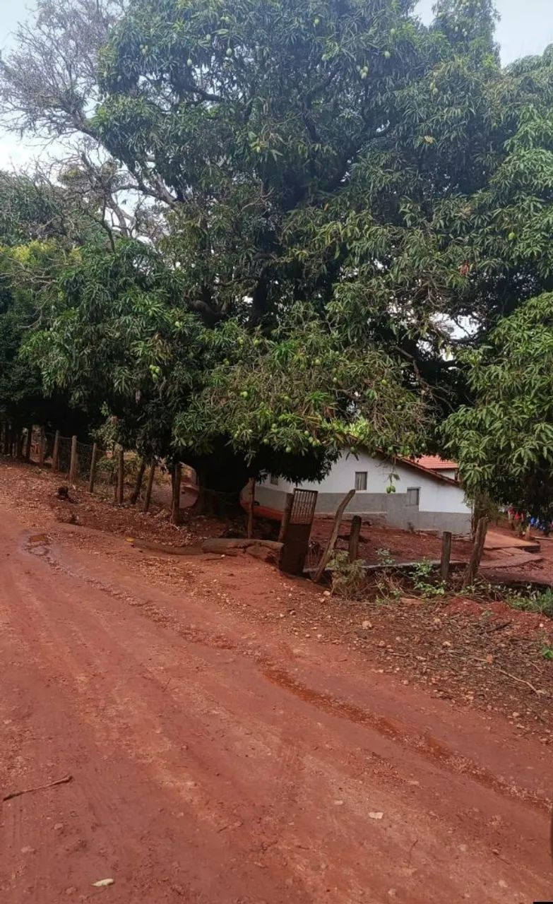 Terreno  - Foto 3