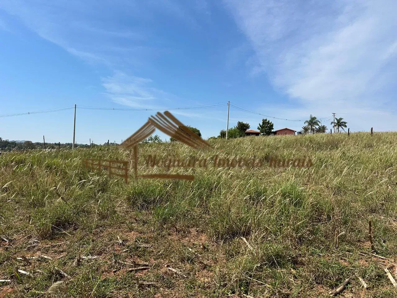 Excelente área a venda com 2 hectares em Pardinho-SP - Foto 5