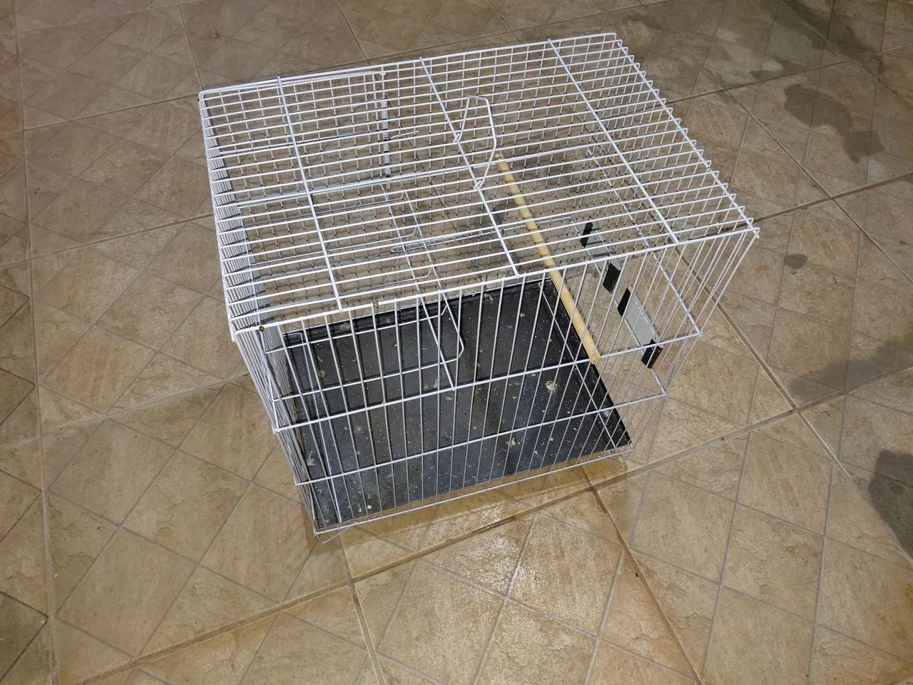 Gaiola chocadeira 