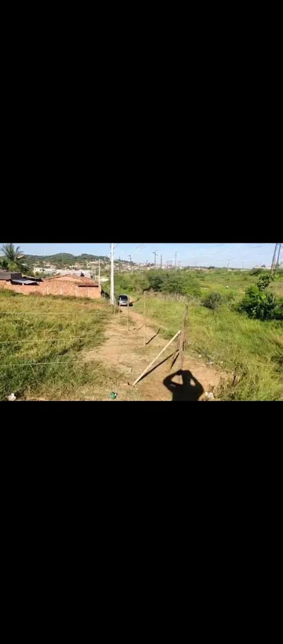 Terreno a venda Rosa de Maio  - Foto 3