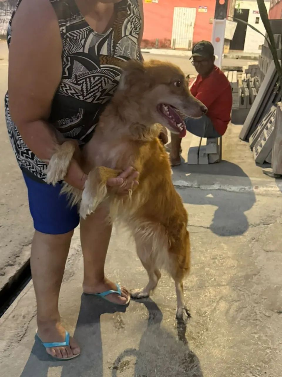 Doação  - Foto 5