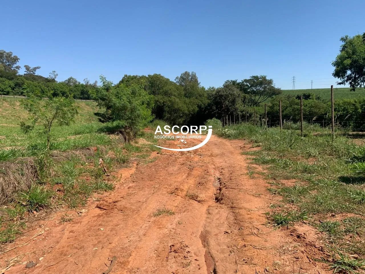 Sitio à venda no bairro Conceição, Piracicaba. - Foto 3