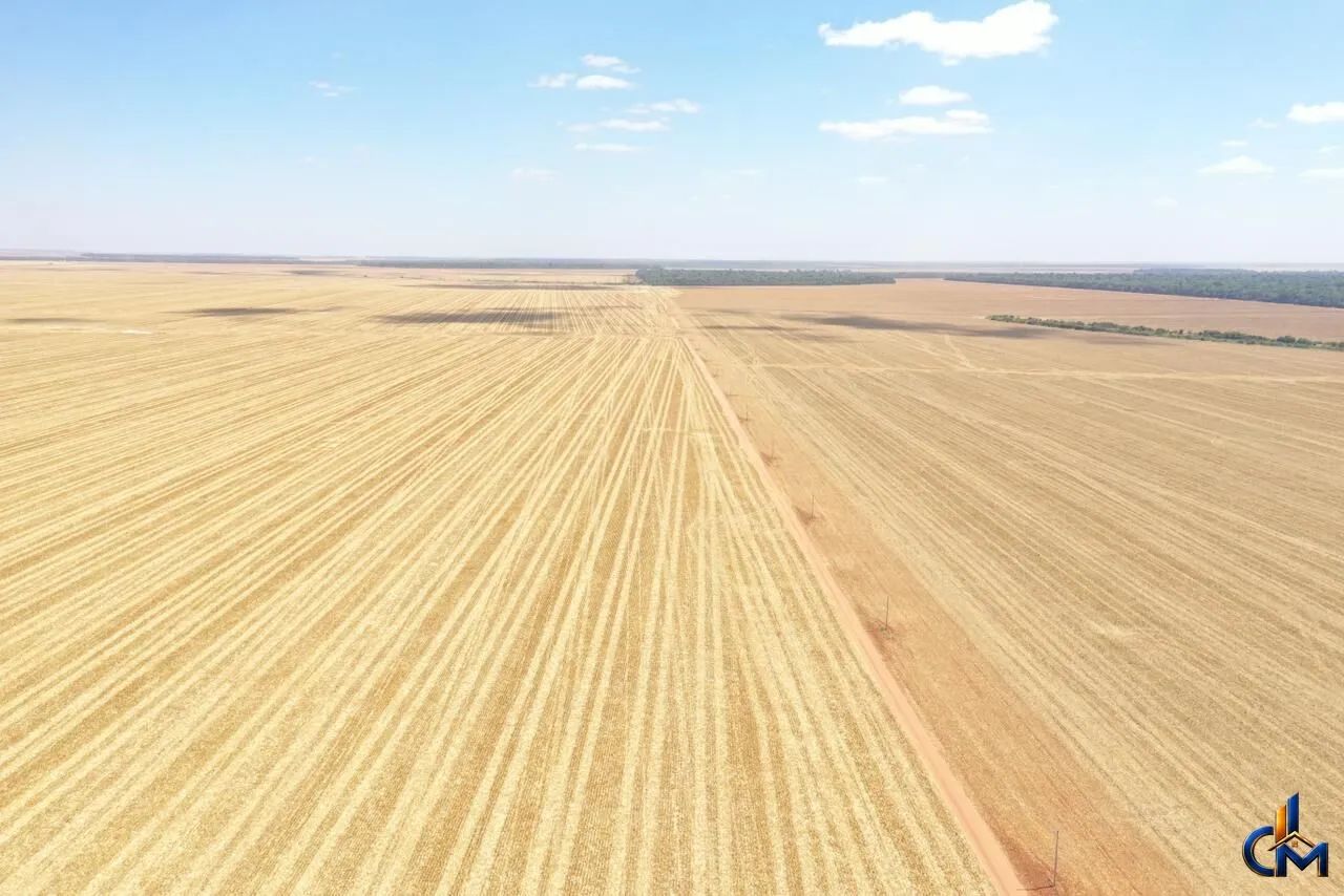 Fazenda em Querencia - Foto 4