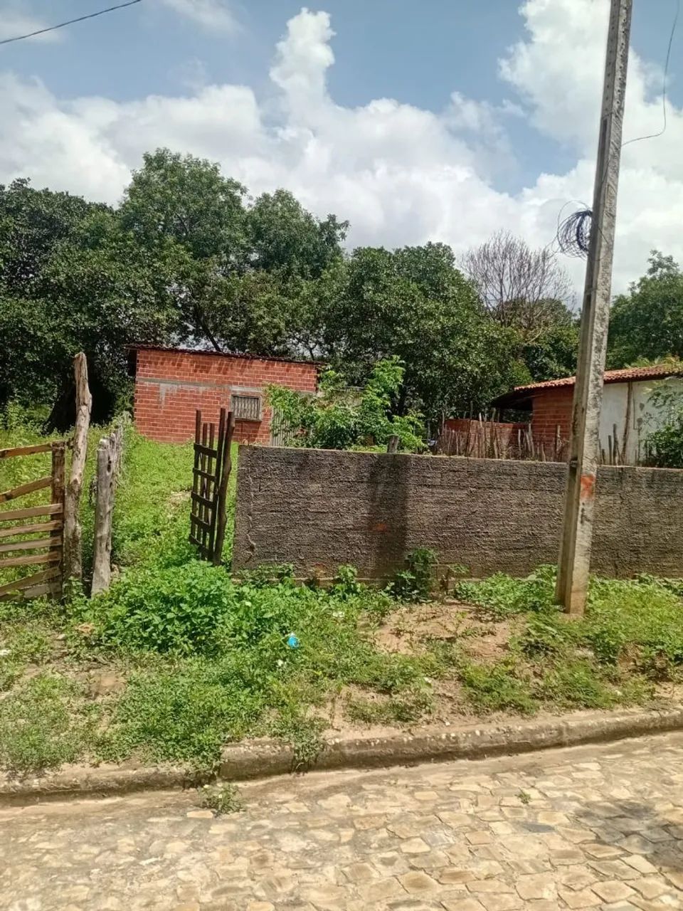 Foto - Manaus - Compensa