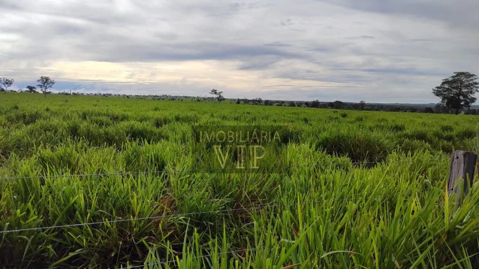 Zona Rural - Coxim MS - Foto 4