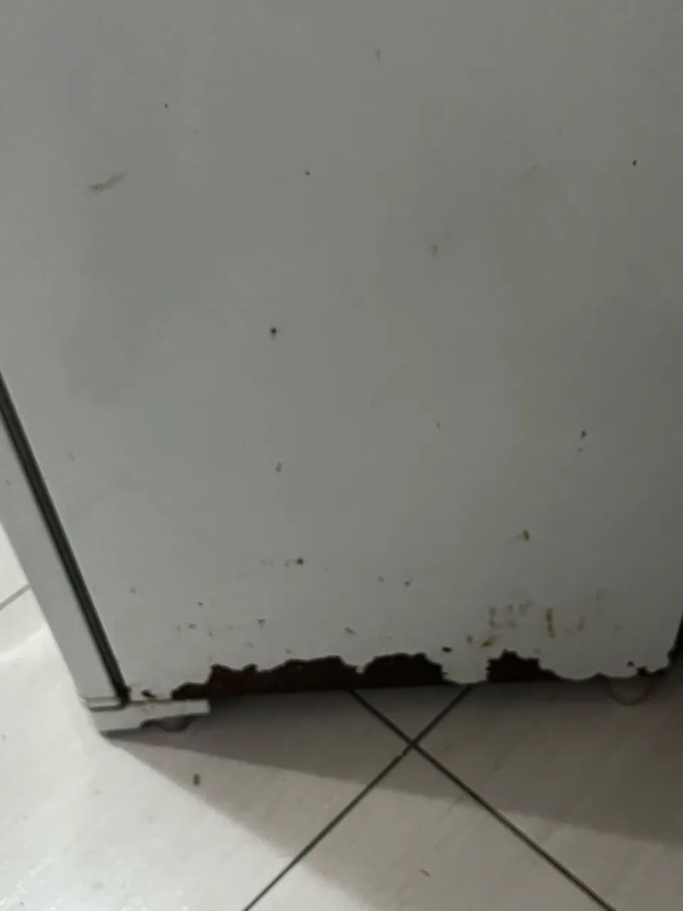 Freezer Electrolux - Foto 2