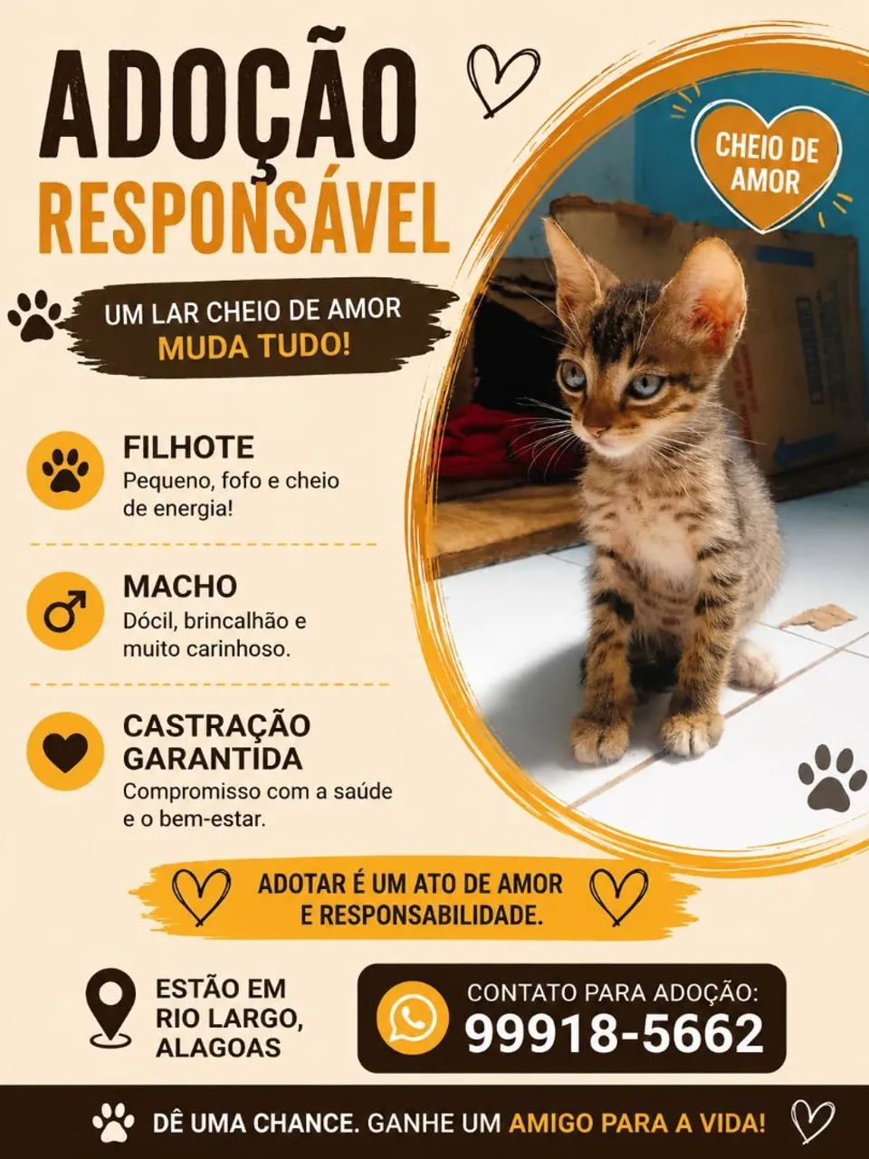 Adoção Responsável 