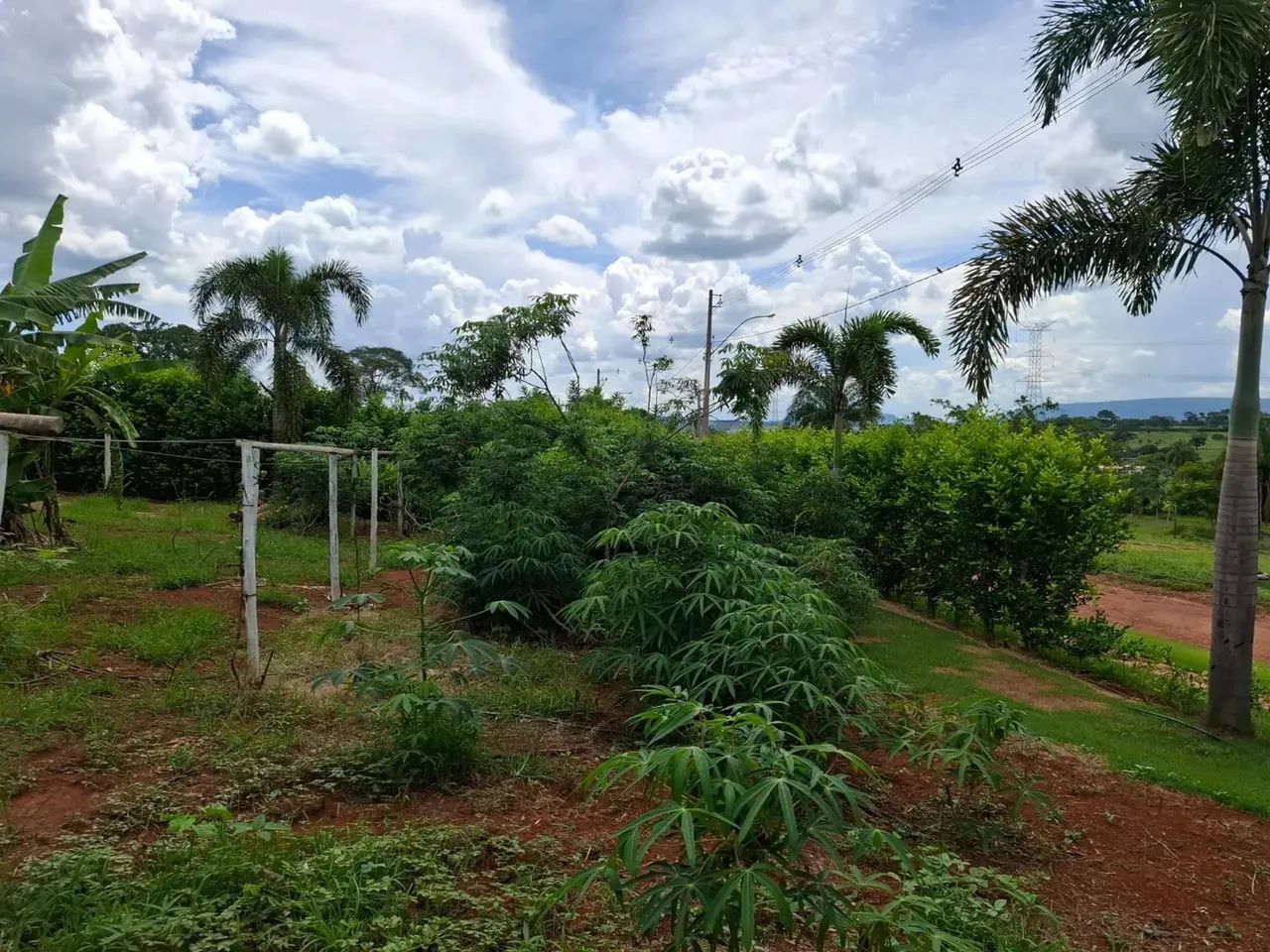 Lote condomínio Canaã - Terra Santa - Foto 3