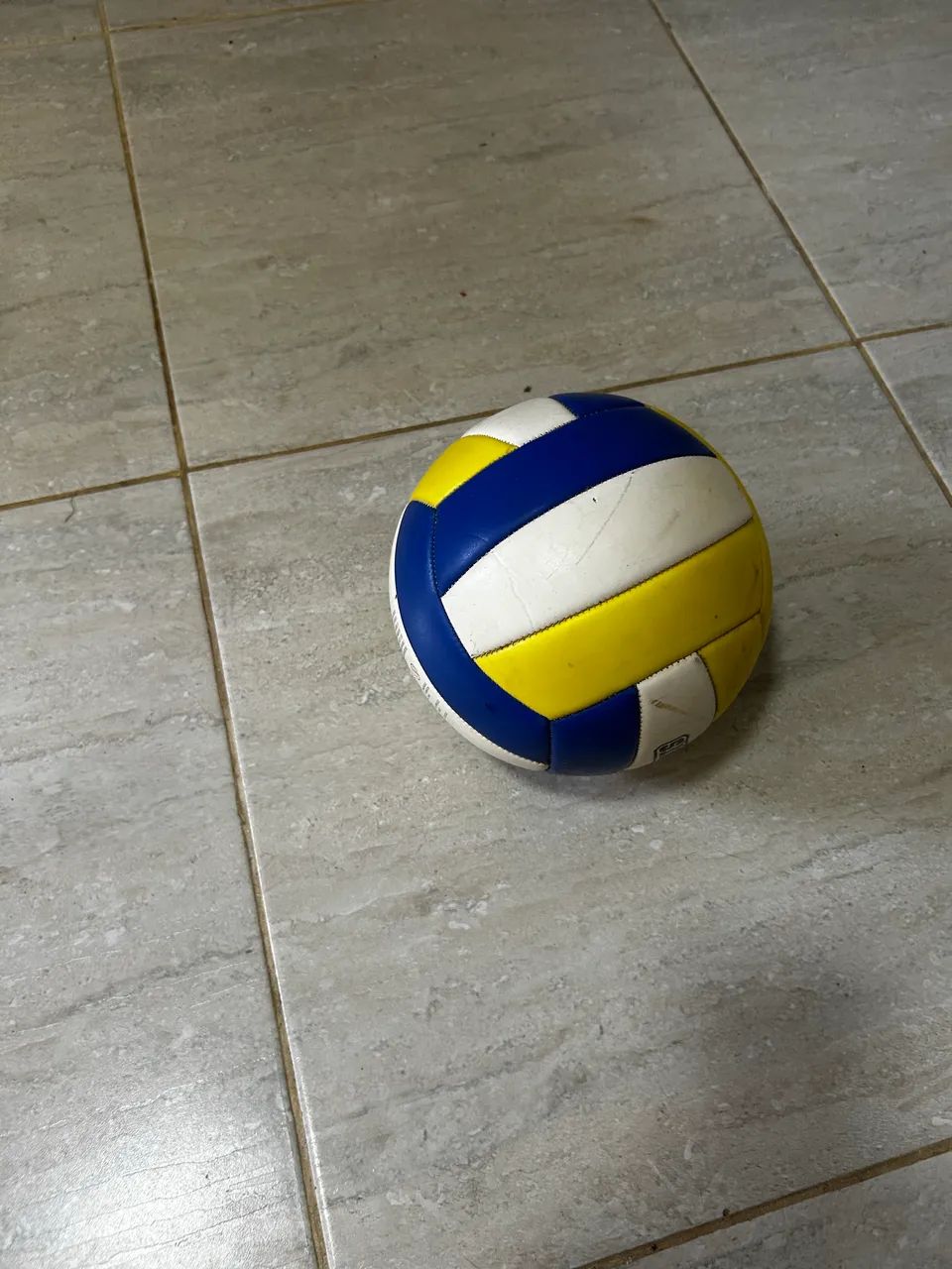 Bola de voleibol 