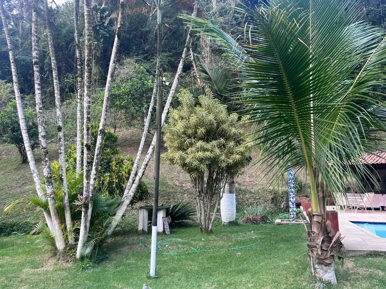 Sítio Mendes (Martins Costa) - Foto 4