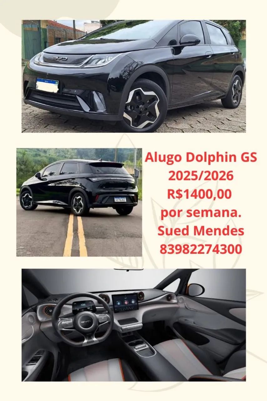 Carro elétrico para LOCAÇÃO 