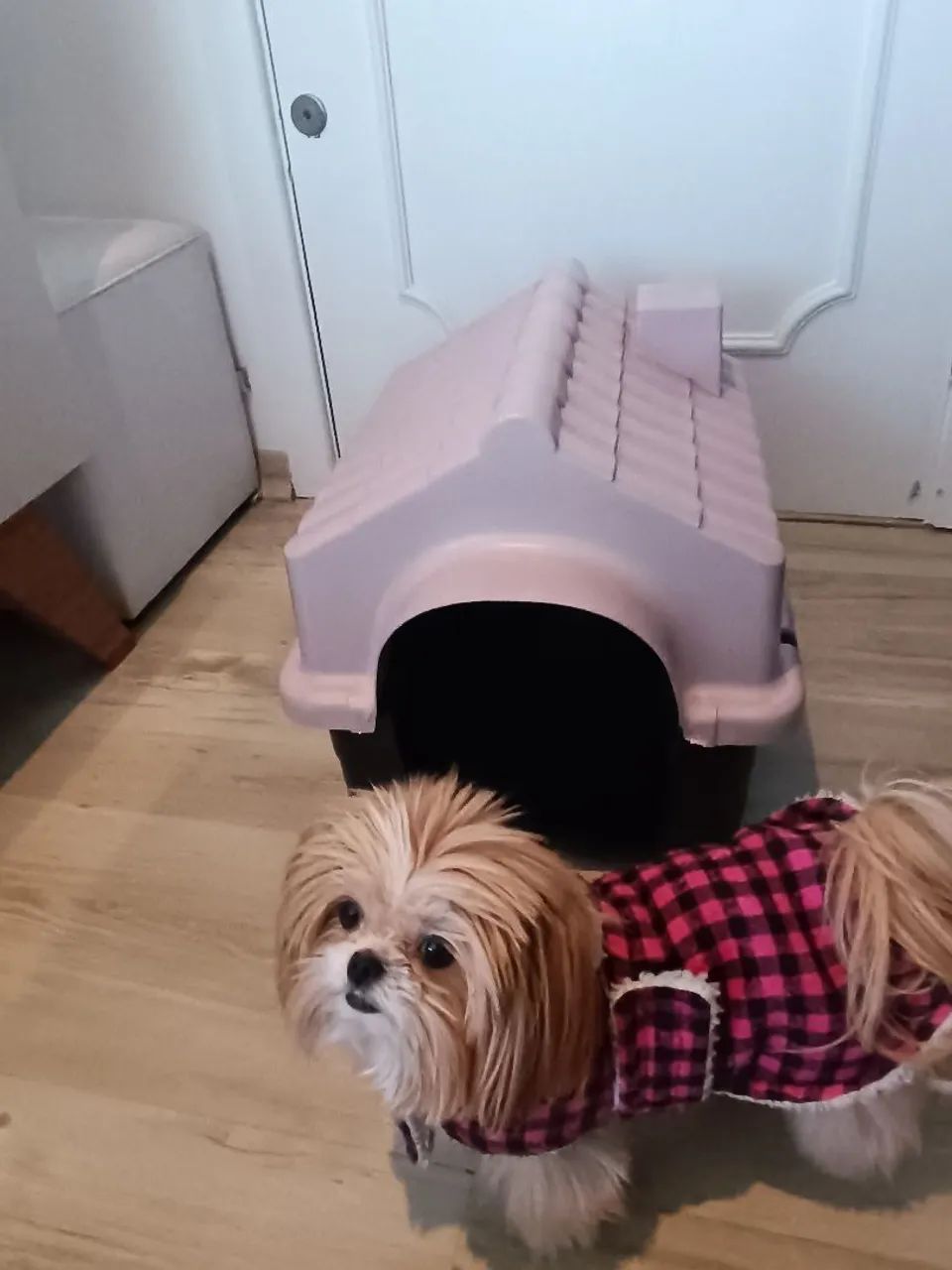 Casinha resistente para porte pequeno/médio  - Foto 4
