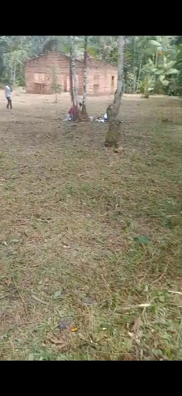 R$20.000 Casa com Terreno em Colares Barato - Foto 3