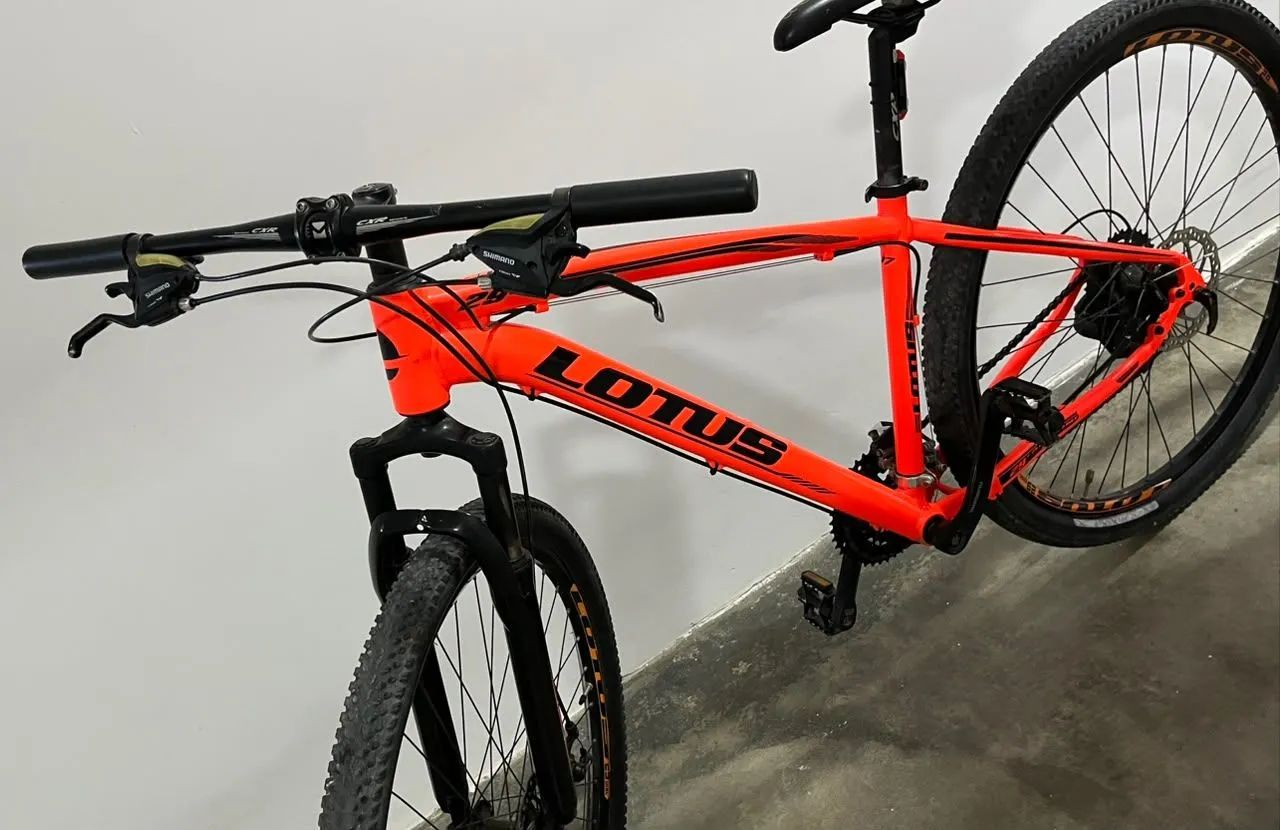 BICICLETA LOTUS ARO 29 ? - Foto 3
