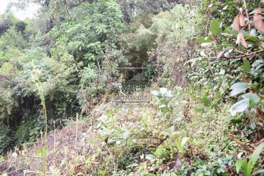 Terreno à venda em Centro, Petrópolis cod:3326 - Foto 3