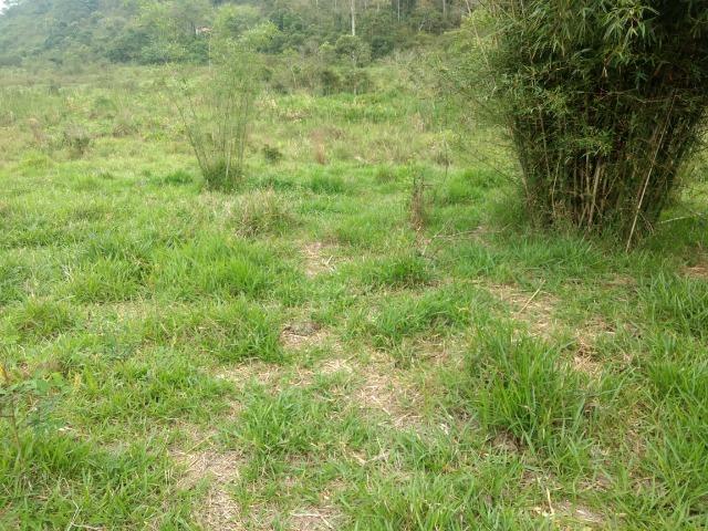Terreno 3000m2 Igrejinha para Granja, com uma obra iniciada, 2 quartos pela metade - Foto 15