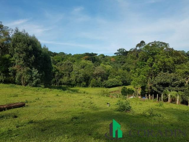 Linda Chácara em Bocaiuva do Sul - Foto 9