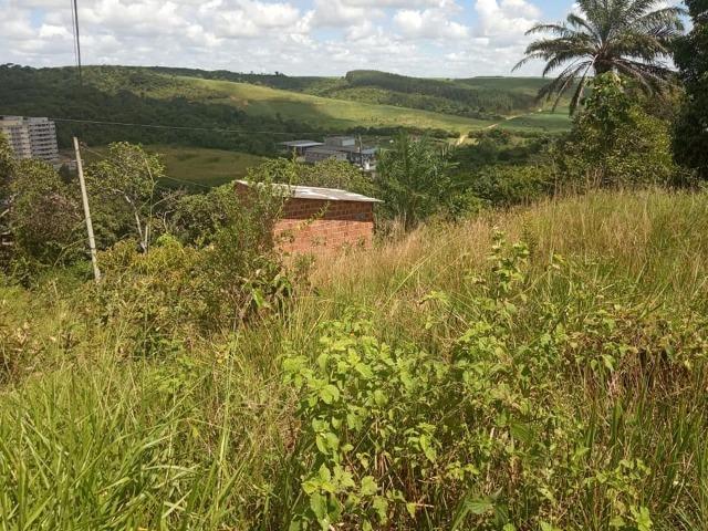 Vendo excelente área com 7.8 Hectáres em São Lourenço da Mata / PE - Foto 15