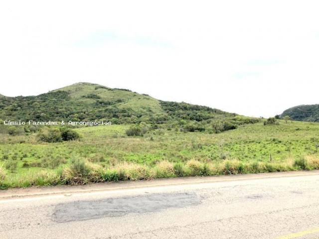 Fazenda para venda em encruzilhada do sul, interior - Foto 2