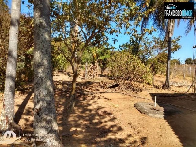 Chácara em Vianópolis, 1 alqueire e 1 hectare de pura beleza e encantamento - Foto 7