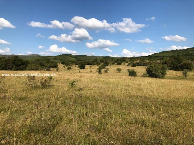 Fazenda para venda, interior - Foto 3