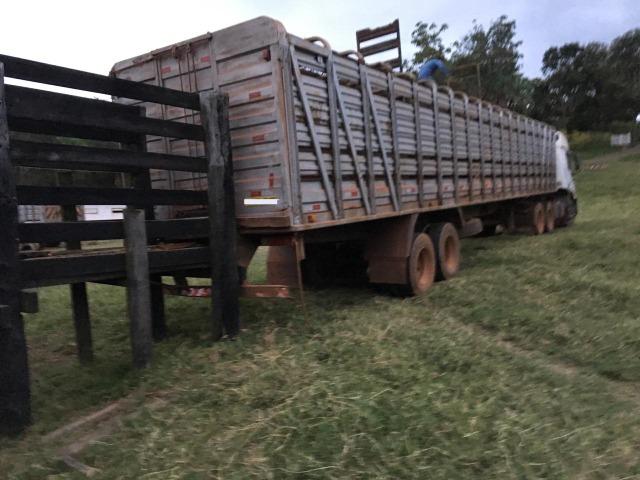Fazenda para Pecuária a 4 km da BR 364 - Foto 8