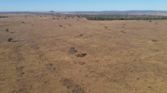 Fazenda 2.520 Alqueires - Foto 12