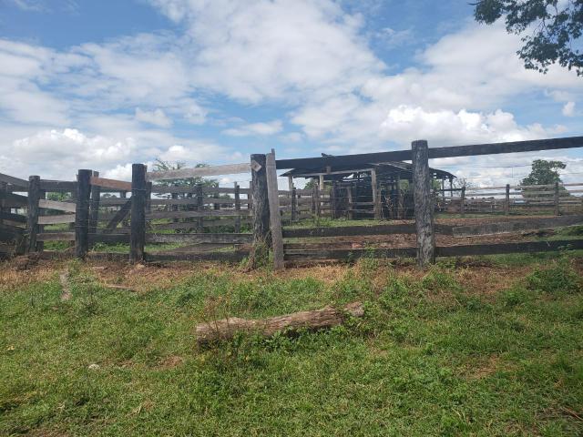 Fazenda 1.240 hectares á venda em jangada - Foto 7