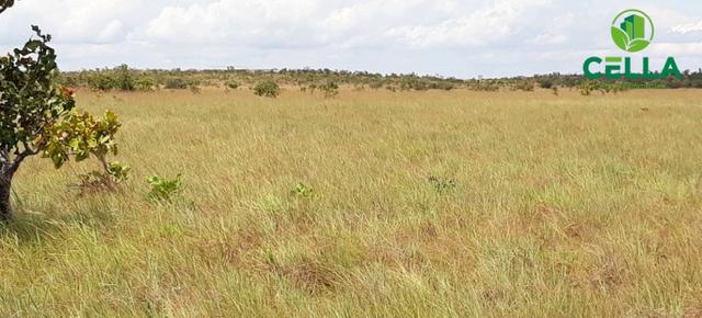 Fazenda / 6.754 ha (1.395 Alq.) / Região de Boa Vista / Roraima - Foto 6